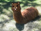 loulouh76