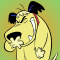 mikodog