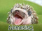 NemesisQ