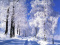 neige77