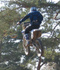 pastrana91