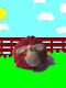 Poney_gonflab