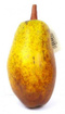 PapayeJuteuse