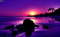 PurpleSunshines