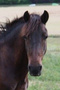pauline7895