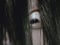 sadako_me_voit