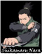 shika33