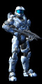 SPARTANBERREN