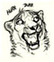 Snider_s