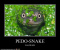 snakelecameleon