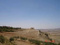 Taougrite