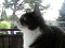 TouchCatNeight3