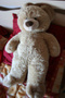 titnounours