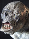 Troll-glodyte