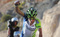 vanendert-