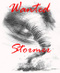 Wanted_stormer