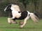 ysa76