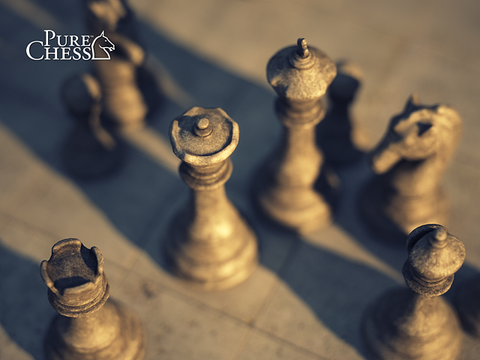 Jaquette de Pure Chess