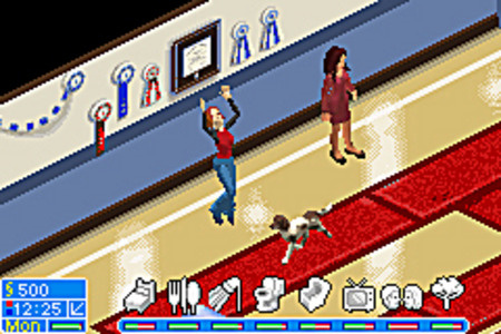 Images : Les Sims 2 à la SPA