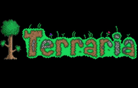 Terraria sur PC
