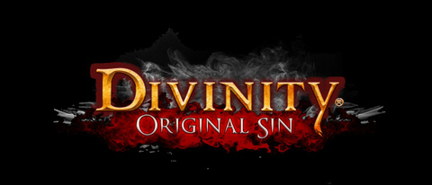 Divinity : Original Sin sur PC