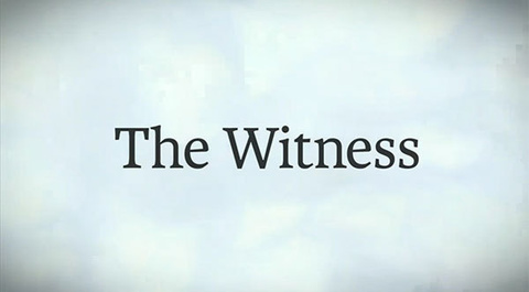 The Witness sur PS4