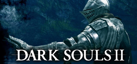 Jaquette de Dark Souls II sur PC