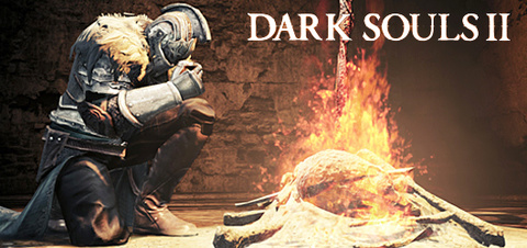 Jaquette de Dark Souls II sur PC