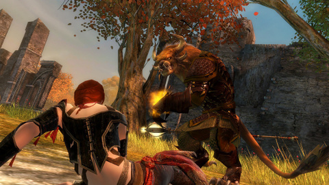 L'Europe, terre de prédilection pour Guild Wars