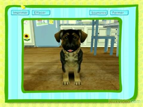 Dogz : Le tour du jour