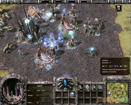 Armies of Exigo : La vengeance des insectes