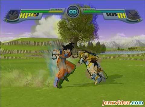 Dragon Ball Z : Infinite World :