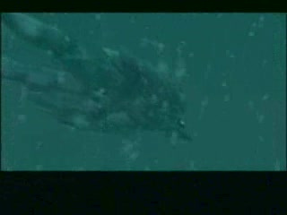 Bande-annonce