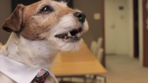 Bande-annonce