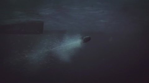 Silent Hunter Online : La bêta ouverte est lancée !