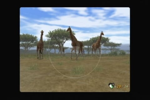 Images de Safar'Wii