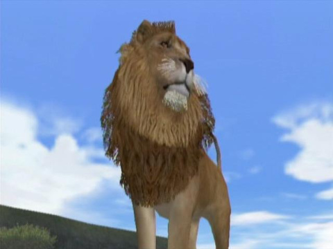 Images de Safar'Wii