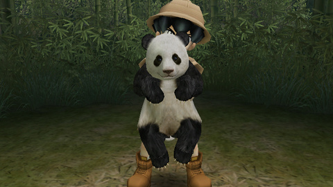 Images de Safar'Wii