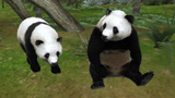 Images d'Animal Resort : Let's Make a Zoo