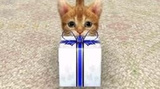Nintendogs + Cats est millionnaire