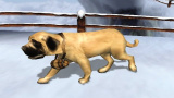 E3 : Une vie de chien