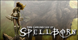 The Chronicles of Spellborn sur PC