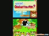 Hamtaro : Joue avec les Ham-Hams : Sortie au Parc