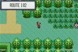 Pokémon Version Rubis : Vivre à Hoenn