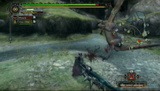 Monster Hunter 3 : 1/4 : Premiers pas