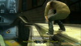 Shaun White Skateboarding :