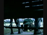 Dog's Life : Spot TV