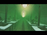The Path : Greenhouse