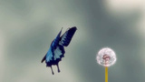 A Walk in the Dark : Annonce du jeu