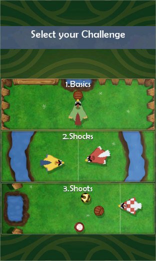 Les poulets se mettent au foot